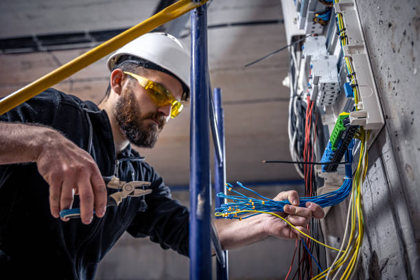 Best Electrical System Inspection  in Edinburg, IL