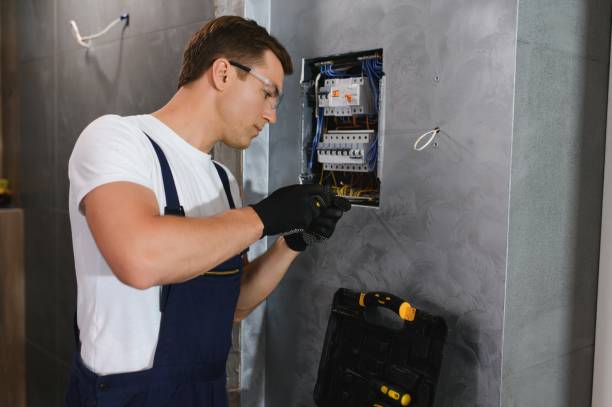 Best Electrical Repair Services  in Edinburg, IL
