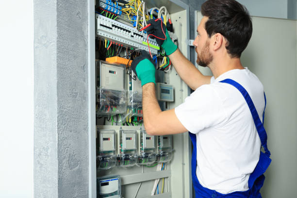 Best Electric Panel Repair  in Edinburg, IL